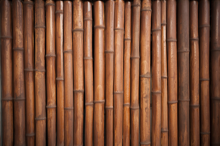 londons first naked restaurant bamboo