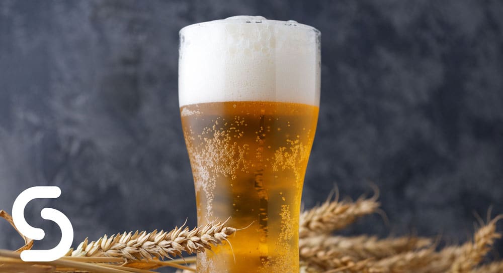 A Guide to Pilsner Beer Glasses - Smart Hospitality Supplies