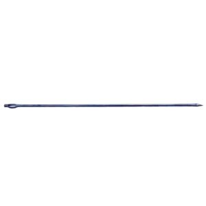 Trussing Needle