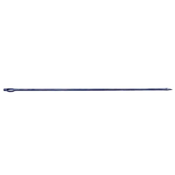 Trussing Needle
