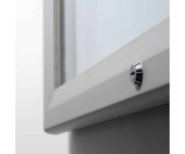 Self-Adhesive Poster Display Sleeve - Portrait