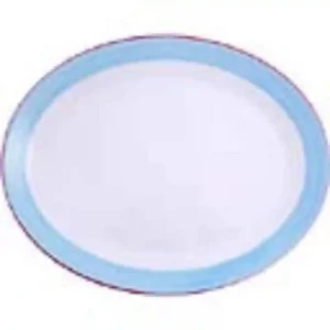Steelite Rio Blue Oval Coupe Dishes 202mm