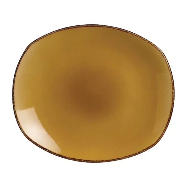 Steelite Terramesa Mustard Spice Plates 255mm