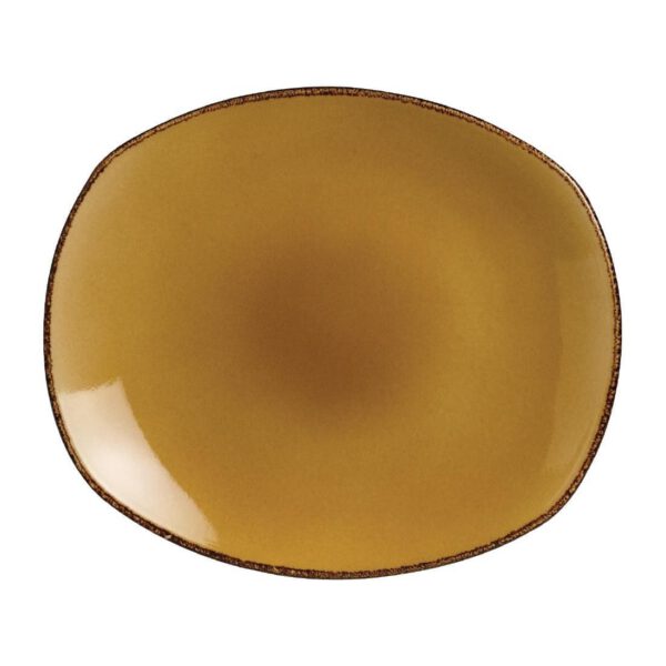 Steelite Terramesa Mustard Spice Plates 150mm