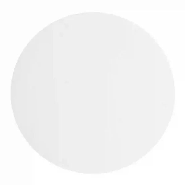 Burger Plastic Discs 100mm (Pack of 5000) - Image 5