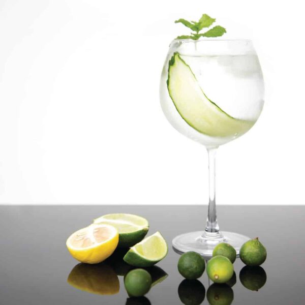 Olympia Bar Collection Crystal Gin Glasses 645ml (Pack of 6) - Image 16