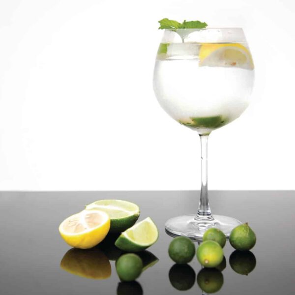 Olympia Bar Collection Crystal Gin Glasses 645ml (Pack of 6) - Image 17