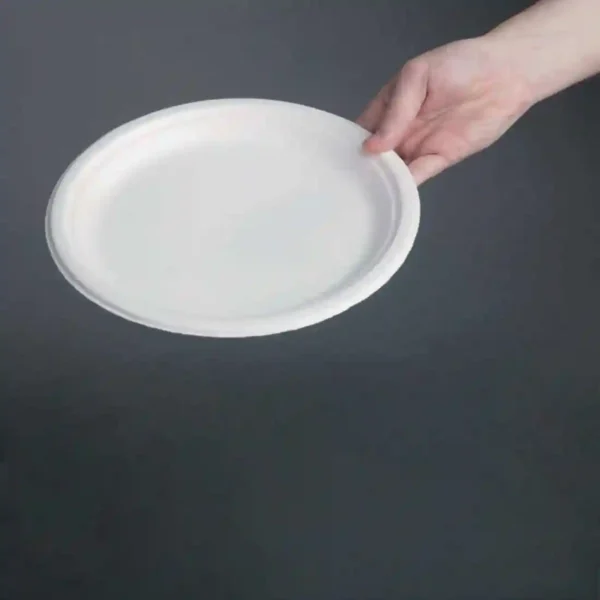 Fiesta Compostable Bagasse Plates Round 260mm (Pack of 50) - Image 4