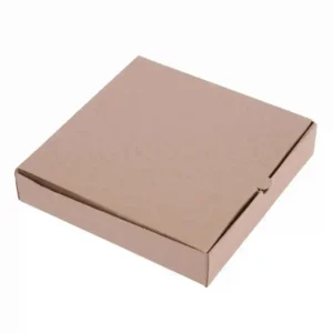 Fiesta Compostable Plain Pizza Boxes 9" (Pack of 100)