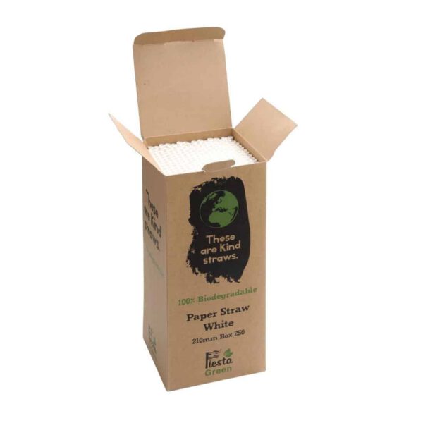 Fiesta Compostable Paper Straws White (Pack of 250) - Image 3