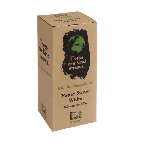 Fiesta Compostable Paper Straws White (Pack of 250) - Image 4