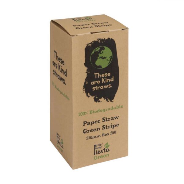 Fiesta Compostable Paper Straws Green Stripes (Pack of 250) - Image 5
