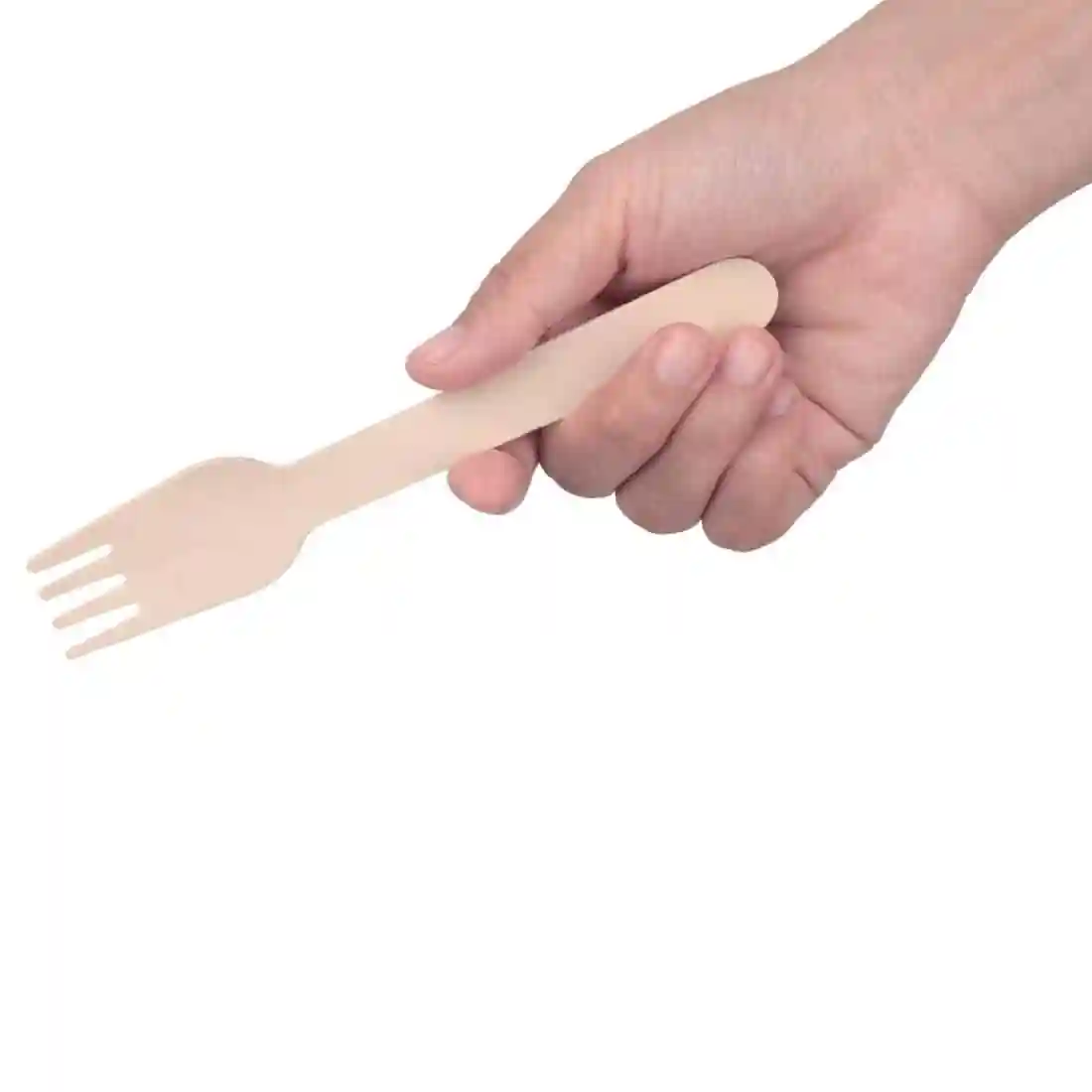 Fiesta Compostable Wooden Cutlery Meal Pack (Pack of 250) - Image 3