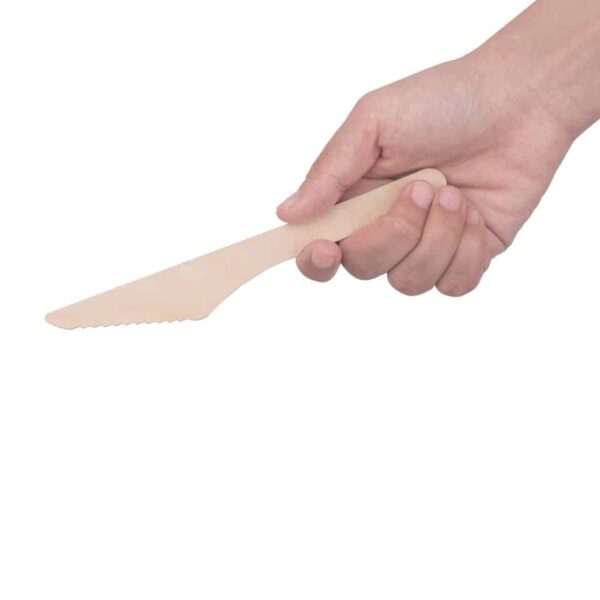 Fiesta Compostable Wooden Cutlery Meal Pack (Pack of 250) - Image 4
