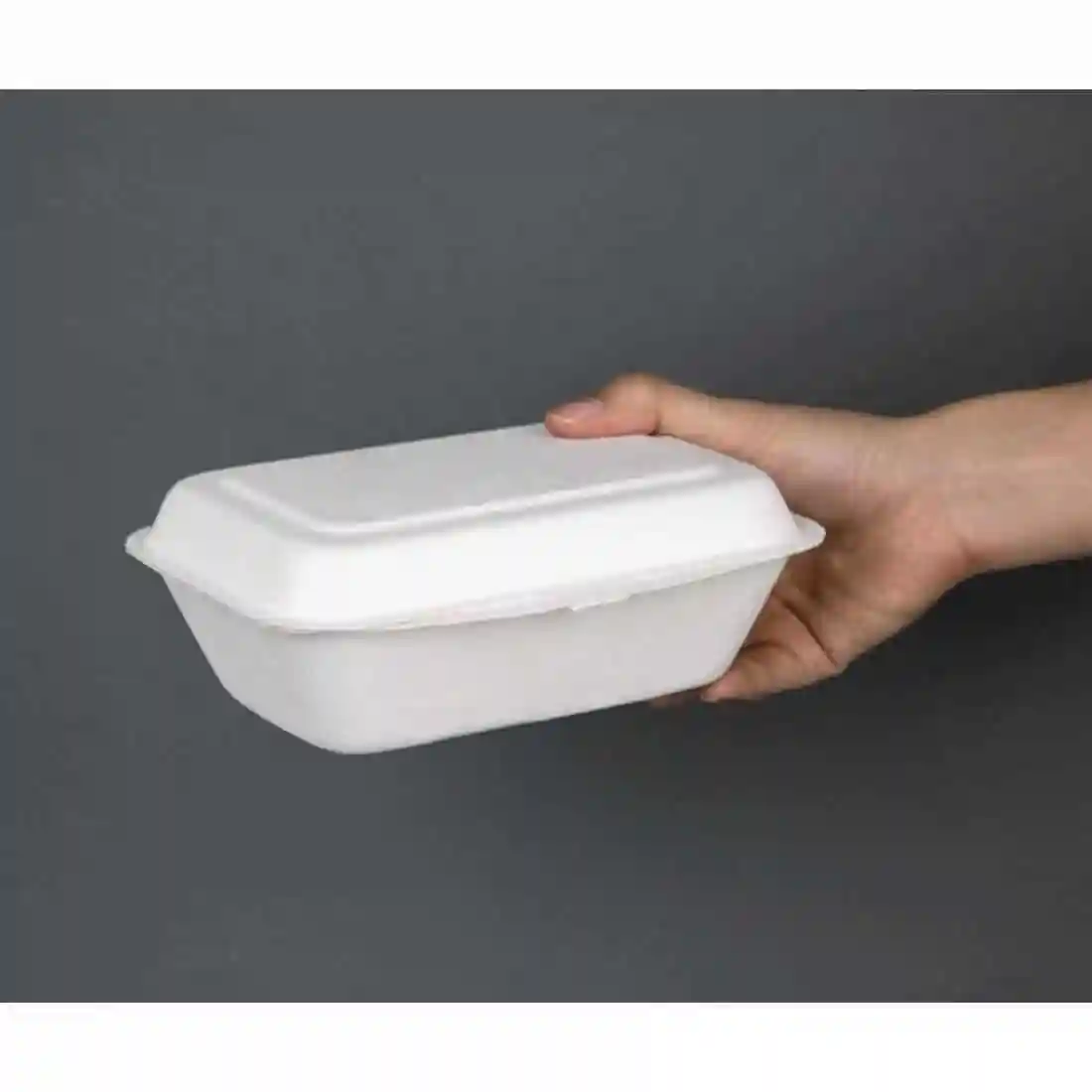 Fiesta Compostable Bagasse Hinged Food Containers 182mm - Image 4
