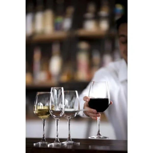 Olympia Mendoza Wine Glasses 315ml (6 pack) - Image 7