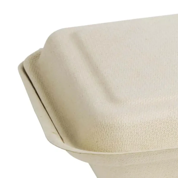 Fiesta Compostable Bagasse Two-Compartment Hinged Food Containers Natural Colour 253mm (Pack of 200) - Image 4