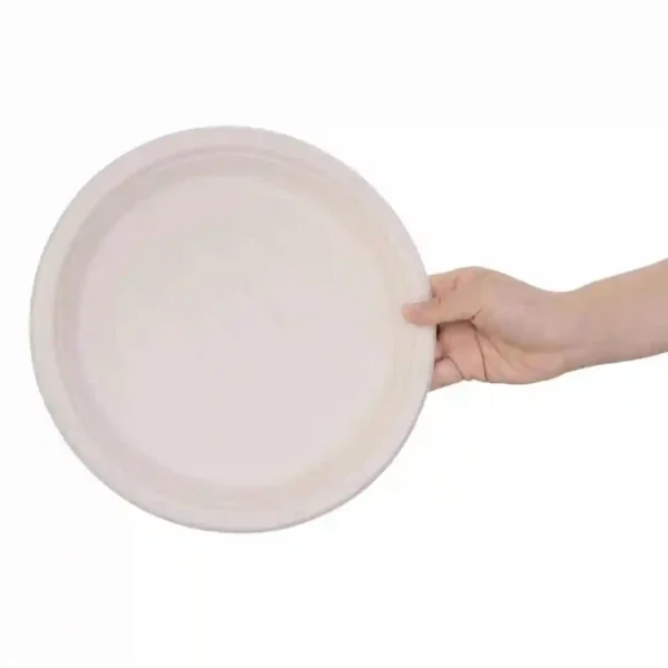 Fiesta Compostable Bagasse Round Plates Natural Colour 260mm (Pack of 50) - Image 4