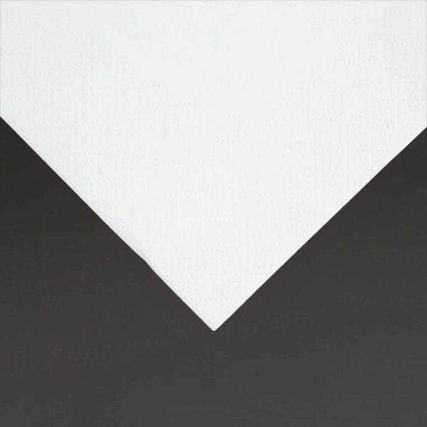 Fiesta Recyclable Cocktail Napkin White 24x24cm 2ply 1/4 Fold (Pack of 4000) - Image 3