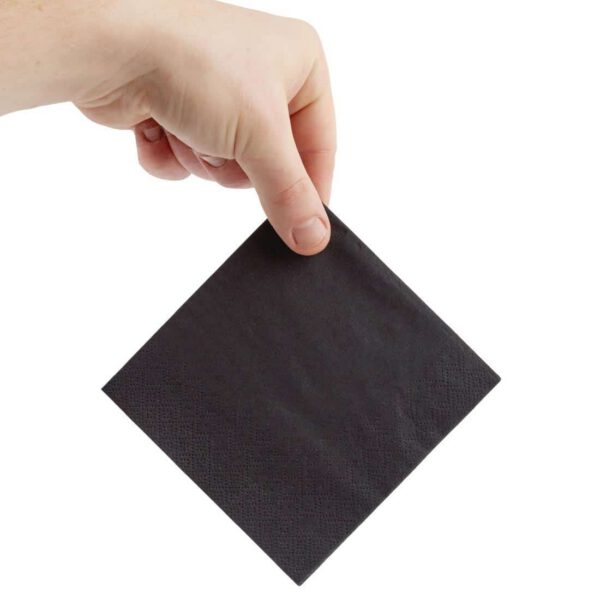 Fiesta Recyclable Cocktail Napkin Black 24x24cm 2ply 1/4 Fold (Pack of 4000) - Image 3