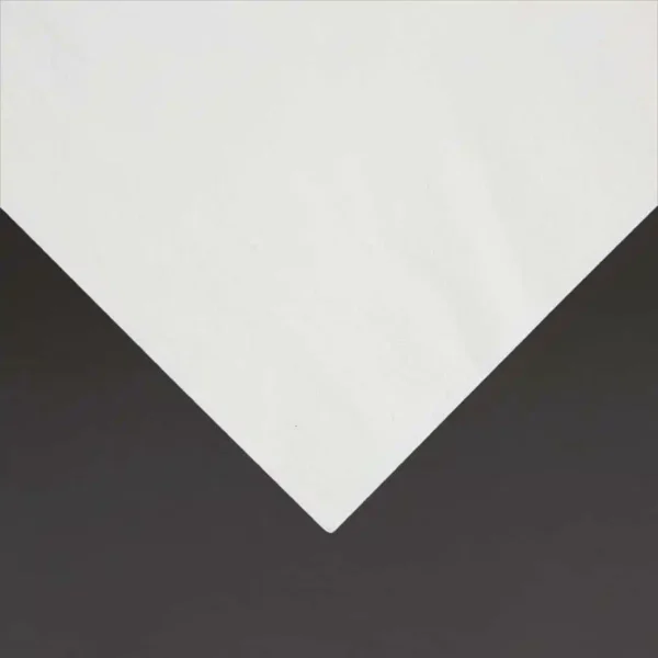 Fiesta Recyclable Lunch Napkin White 33x33cm 2ply 1/4 Fold (Pack of 2000) - Image 3