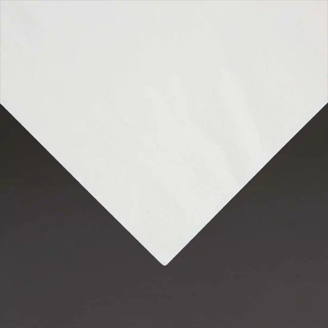 Fiesta Recyclable Lunch Napkin White 33x33cm 2ply 1/4 Fold (Pack of 2000) - Image 3