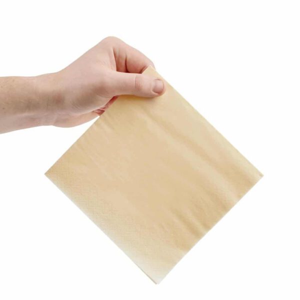 Fiesta Recyclable Lunch Napkin Cream 33x33cm 2ply 1/4 Fold (Pack of 2000) - Image 3