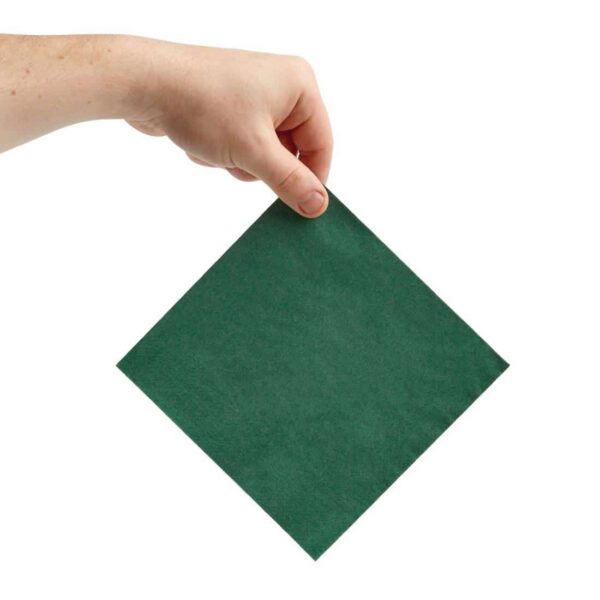 Fiesta Recyclable Lunch Napkin Green 33x33cm 2ply 1/4 Fold (Pack of 2000) - Image 3