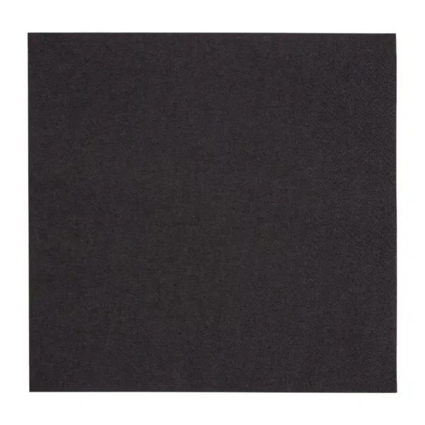 Fiesta Recyclable Lunch Napkin Black 33x33cm 2ply 1/4 Fold (Pack of 2000) - Image 1