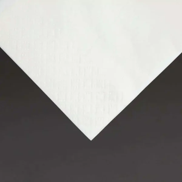 Fiesta Recyclable Lunch Napkin White 33x33cm 2ply 1/8 Fold (Pack of 2000) - Image 3