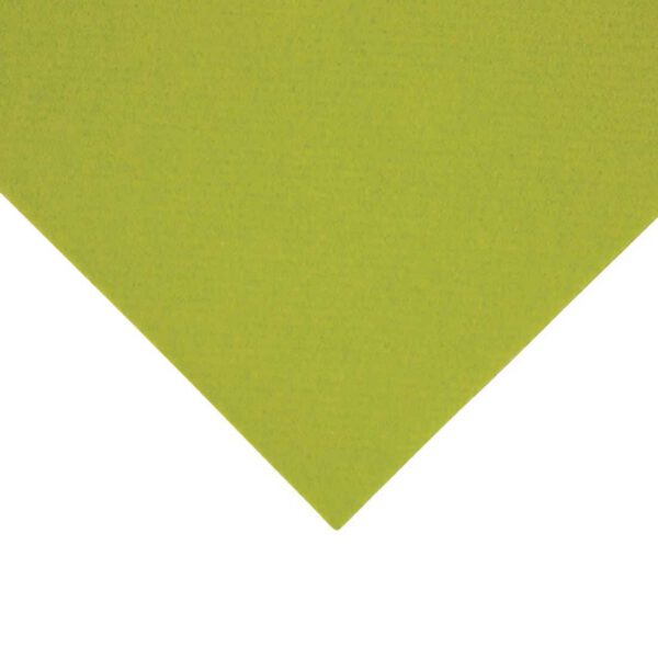 Fiesta Recyclable Premium Tablin Dinner Napkin Kiwi 40x40cm Airlaid 1/8 Fold (Pack of 500) - Image 2