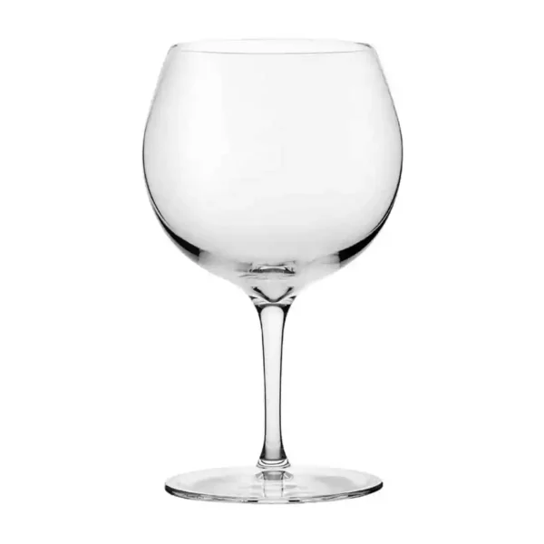 Nude Vintage Gin & Tonic Glasses 585ml (24 pack) - Image 1