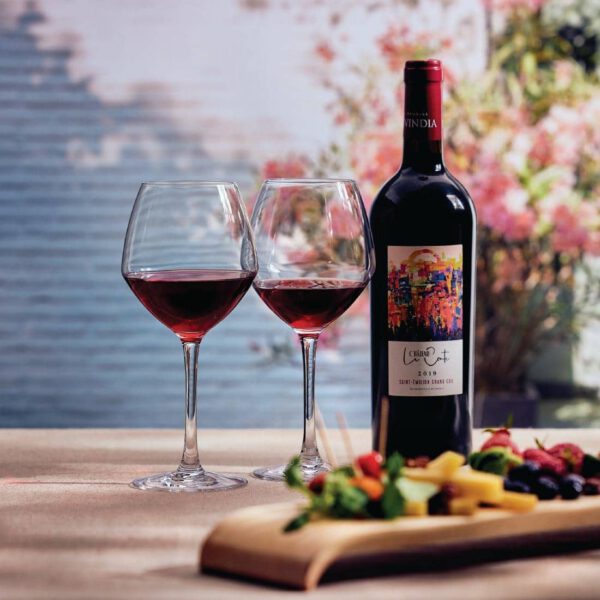 Chef & Sommelier Cabernet Vins Jeunes Wine Glasses 470ml (24 pack) - Image 5
