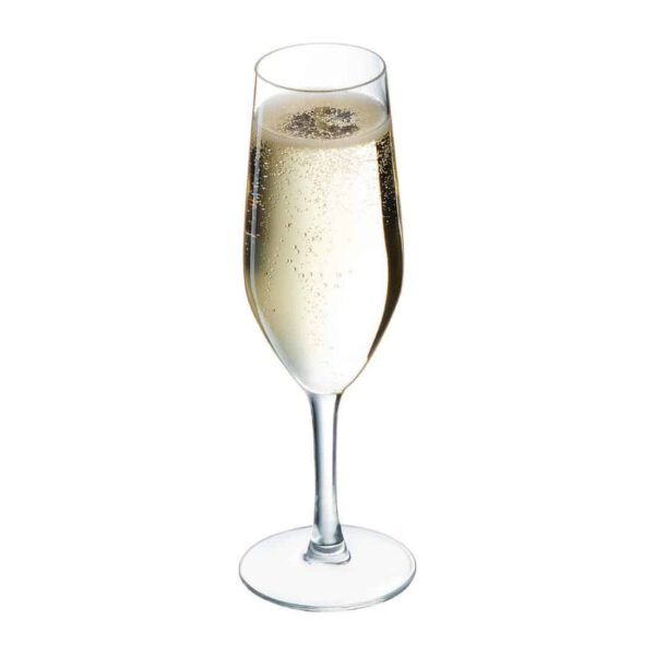 Chef & Sommelier Evidence Flute Glasses 160ml (24 pack) - Image 3