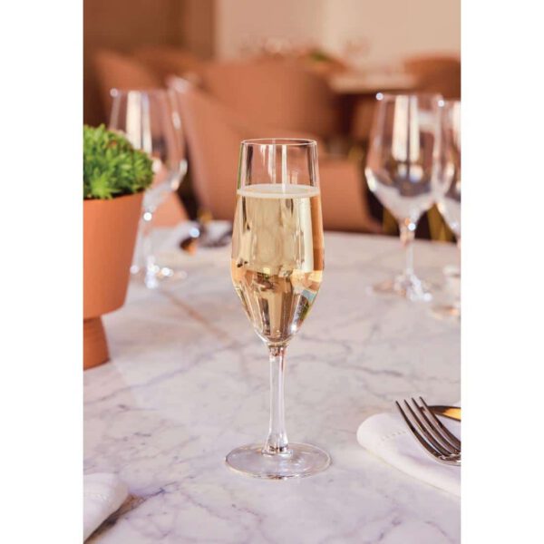 Chef & Sommelier Evidence Flute Glasses 160ml (24 pack) - Image 6