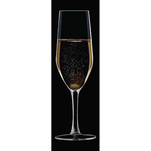 Chef & Sommelier Evidence Flute Glasses 160ml (24 pack) - Image 9