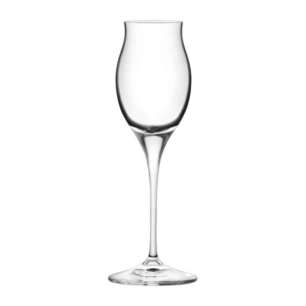 RCR Cristalleria Invino Sherry Goblet 100ml (Pack of 12)
