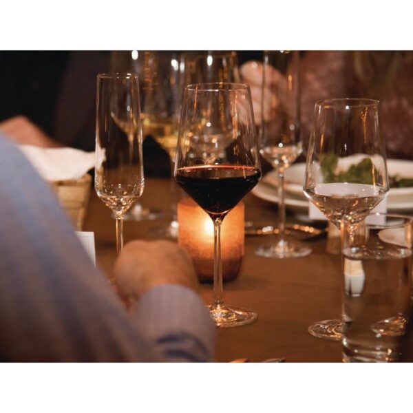 Schott Zwiesel Pure Crystal Red Wine Glasses 540ml
