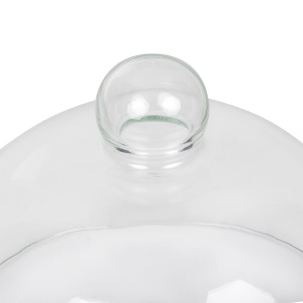 Glass Cloche 210mm