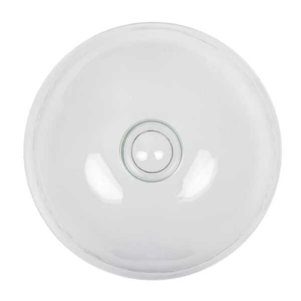 Glass Cloche 210mm