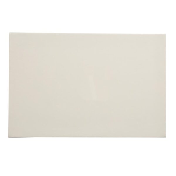 Faux Leather Placemats