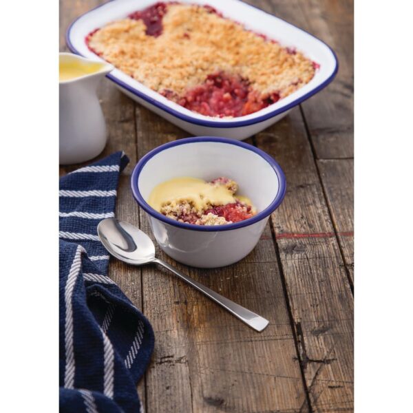 Olympia Enamel Bowls 155mm