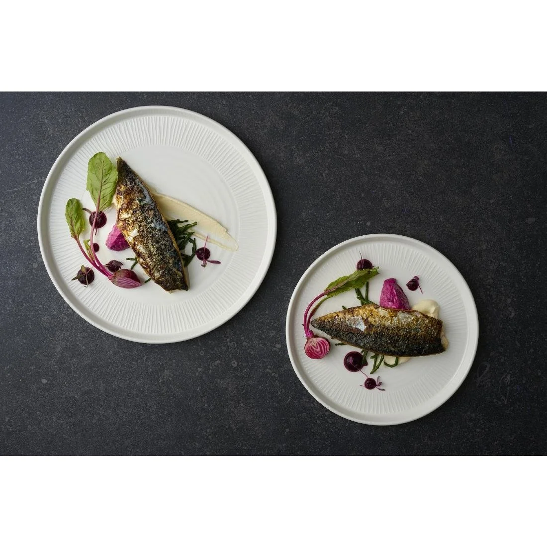 Churchill Bamboo White Walled Plates 210mm (6 Pack) - Image 2