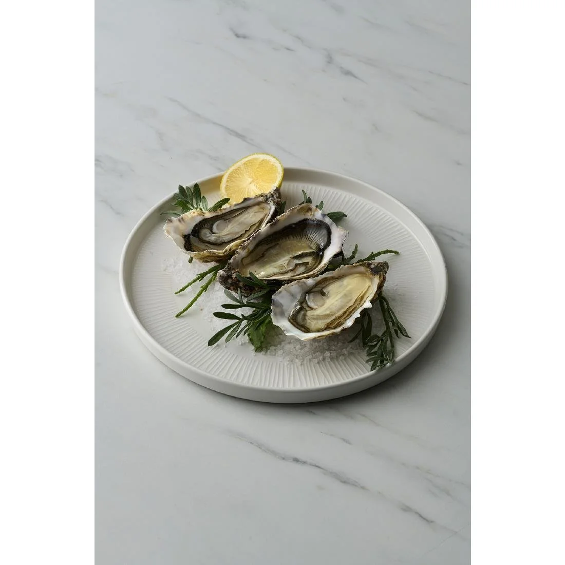 Churchill Bamboo White Walled Plates 210mm (6 Pack)