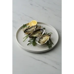 Churchill Bamboo White Walled Plates 260mm (6 Pack)