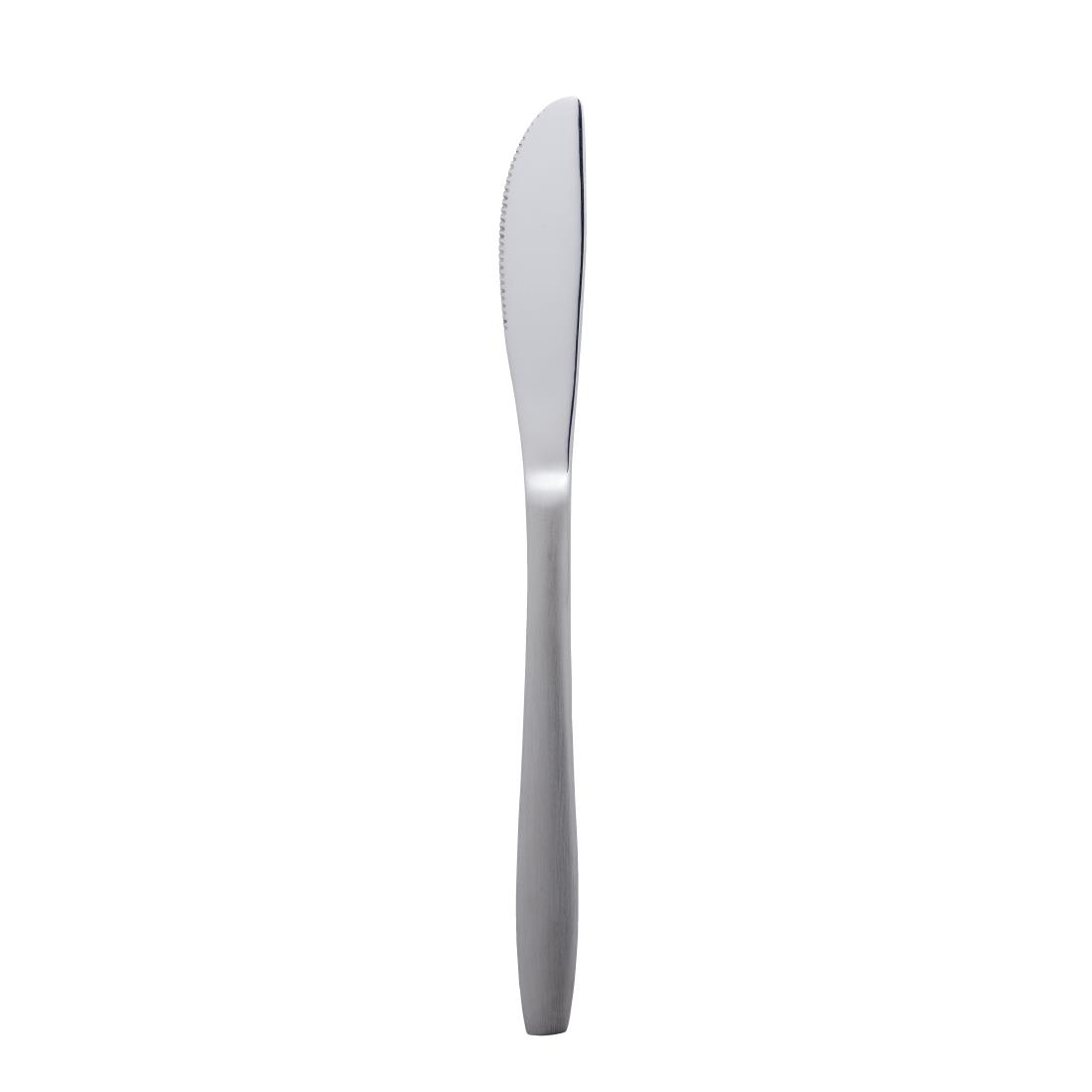 Amefa Amsterdam Table Knife