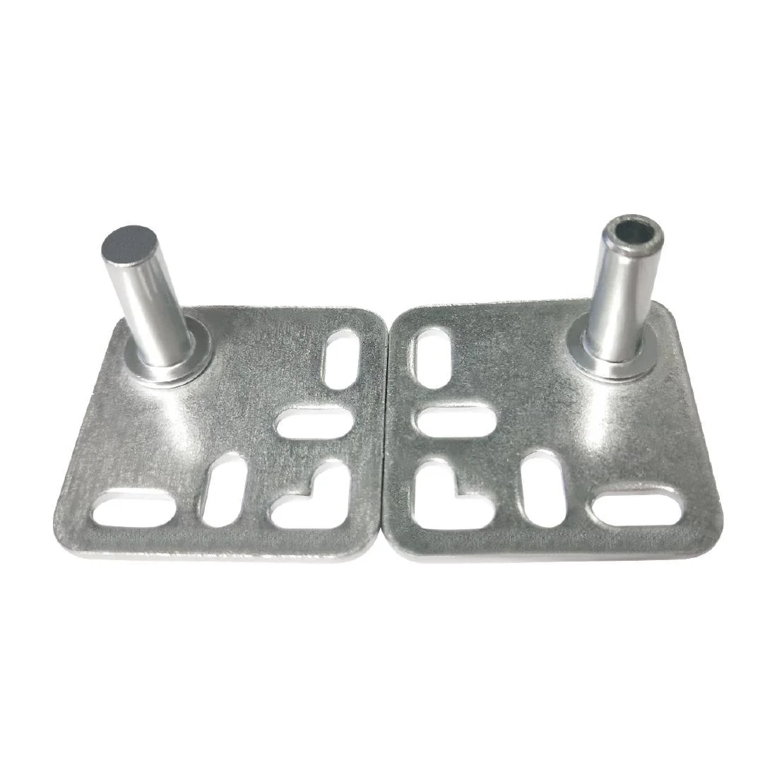Polar Door Hinge