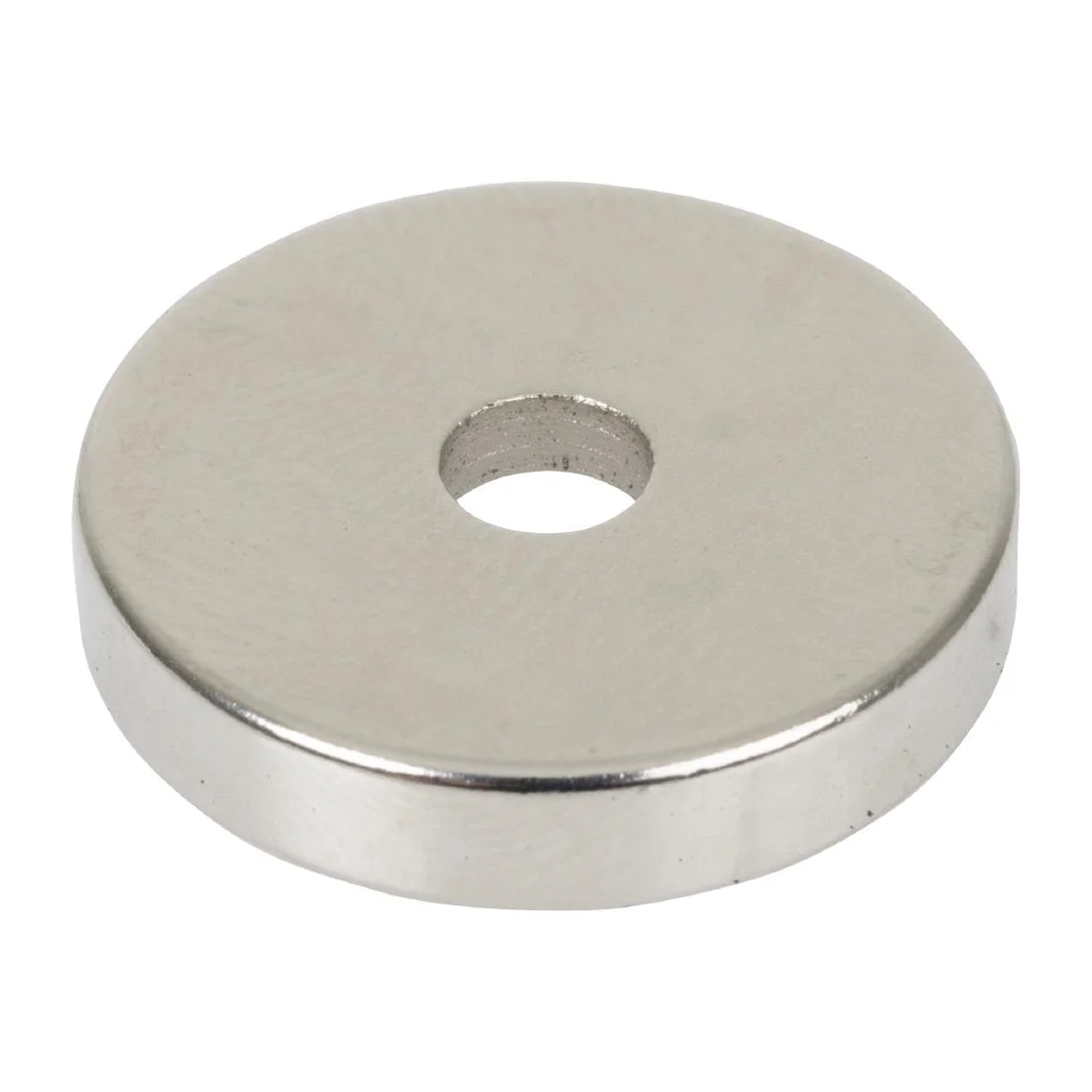 Buffalo Magnet - Image 2