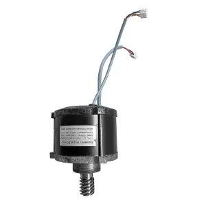 Buffalo Motor Assembly