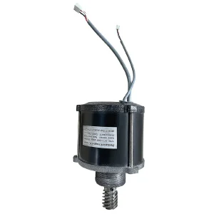 Buffalo Motor Assembly